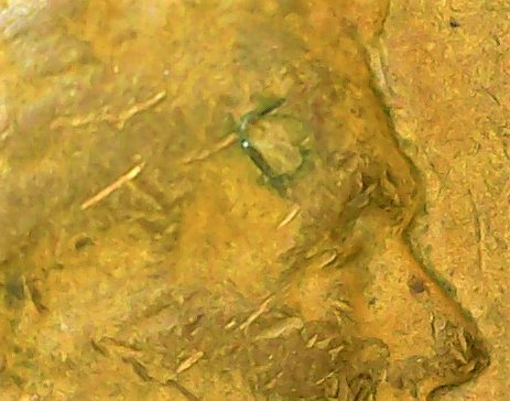 1956-D-Embedded-Staple?